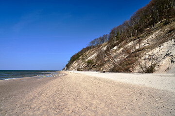 Fototapeta na wymiar Baltic sea coast with sandy beach and cliff overgrown with trees on Wolin island