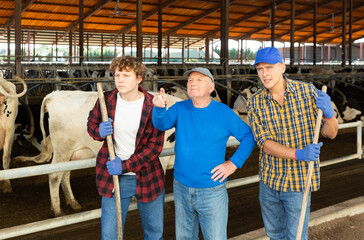 Strict elderly farmer giving instructions to workers while standing near outdoor cowshed at livestock farm..