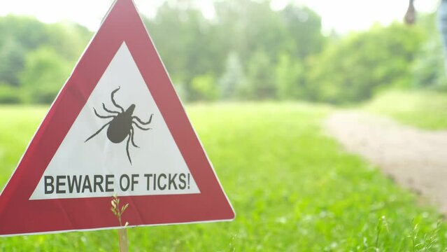 Warning sign beware of ticks in the forest. The young man turns back