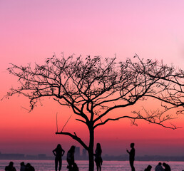 Fototapeta na wymiar silhouette of family on sunset