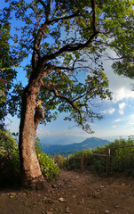 Mountain landscape with hiking trail and view of beautiful forest, Mountain path, Hiking trail through forested peaks, Trial to the peak in high Mountains at Doi Pui Co, Thailand