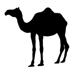 CAMEL SILHOUETTE IN BLACK COLOR, SINGLE HUMPED DROMEDARY, PNG