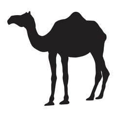 CAMEL SILHOUETTE IN BLACK COLOR, SINGLE HUMPED DROMEDARY