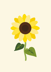 Yellow sunflower background.Eps 10 vector.
