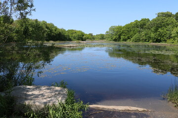 pond, lake, water, sky, landscape, nature, reflection, blue, summer, trees, tree, forest, green, outdoors, panorama, tranquil