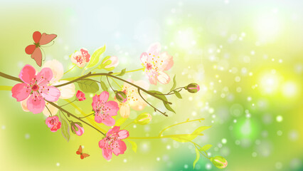 Beautiful flower and buterflay in the season spring or summer, spring background, and summer background.