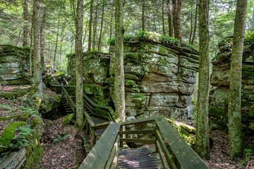 Beartown state park, WV