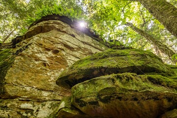 Beartown state park, WV