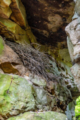 beartown state park, WV