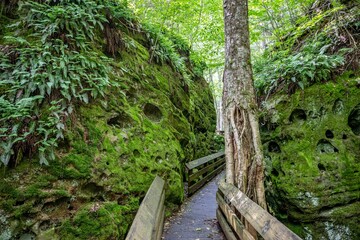 beartown state park, WV