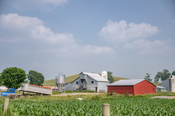 Obraz premium farm