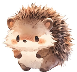 cute baby hedgehog illustration
