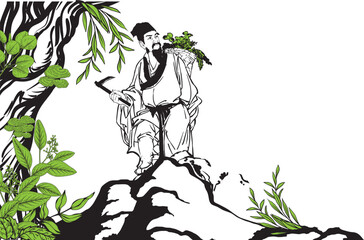 person in the jungle