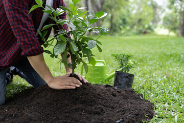 Young man's hands, volunteers planting plants growing in the soil while working to save the world. concept of world environment day reforestation nature and ecology