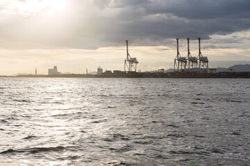 シーサイドコスモからの景色