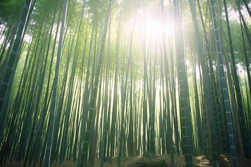 Fototapeta na wymiar Beautiful natural scenery in the forest generative AI