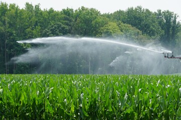 Splash of water from an irrigation system at a corn field in the summer near Milford, Delaware, U.S