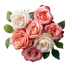 Colorful roses flower plant arrangements transparent 