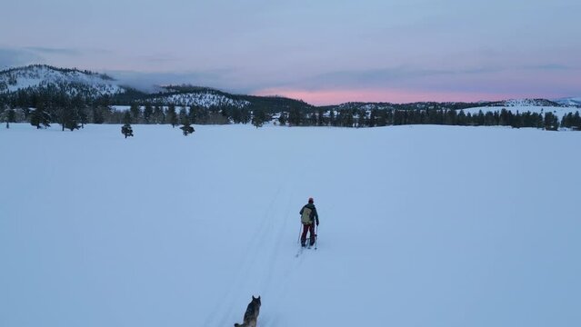 Man cross country skiing up mountain slope of Mammoth Mountain in California on snowy winter evening with German Shepherd dog running alongside