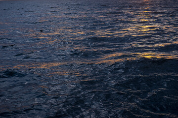 シーサイドコスモからの景色