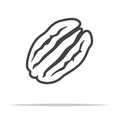 Pecan nut outline icon transparent vector isolated - obrazy, fototapety, plakaty