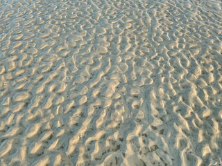 Dotted, Rippling Sand on Beach at Hilton Head Island