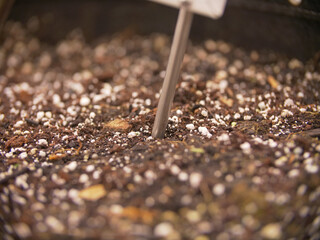 Close Up of a Moisture Meter In a Soilless Potting Mix - obrazy, fototapety, plakaty