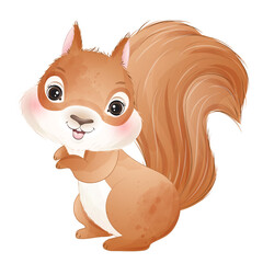 Cute lovely squirrel poses watercolor illustration