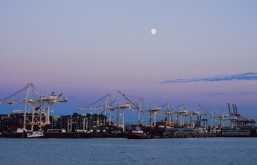cranes in the harbor