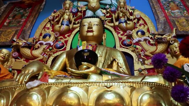 buddha statue at buddhist monastery inside view at morning from different angle video is taken at manali himachal pradesh india on Mar 22 2023.