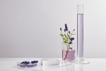 Podium in round-shaped displayed with laboratory glassware and Lavender (Lavandula) flowers....
