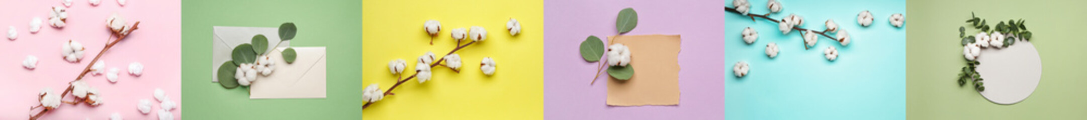 Collage of soft cotton flowers on color background