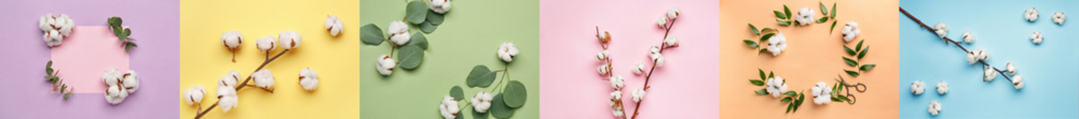 Collage of soft cotton flowers on color background