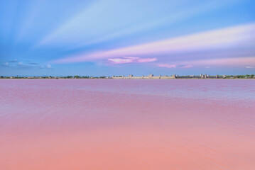     Aigues-Mortes, ancient city in France, Salins du Midi, panorama with pink lake 
 - obrazy, fototapety, plakaty