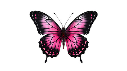 Obraz na płótnie Canvas top view of black pink butterfly , isolated on transparent background cutout , generative ai