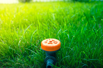 A mushroom type sprinkler is installed in a green grass lawn, close-up. Universal watering for the lawn in the garden in summer - obrazy, fototapety, plakaty