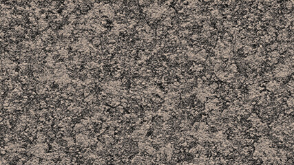 Stone Texture