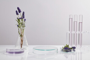 Some test tubes and petri dish filled with purple liquid and a conical flask containing lavender...
