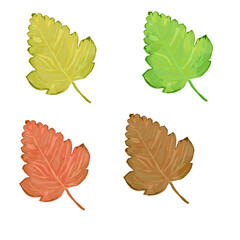 tree leaf vector set