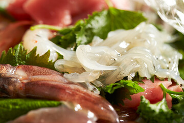 Raw Squid and Anchovy Sashimi