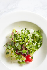 salad with arugula and tomatoes