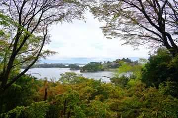 Fototapeta na wymiar Beautiful scenery of Matsushima Bay in Miyagi Prefecture, Japan.