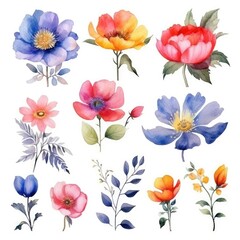 Watercolor flowers. Set Watercolor of multicolored colorful soft flowers. Flowers are isolated on a white background. Flowers pastel colors. generative ai