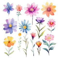 Watercolor flowers. Set Watercolor of multicolored colorful soft flowers. Flowers are isolated on a white background. Flowers pastel colors. generative ai