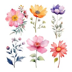 Watercolor flowers. Set Watercolor of multicolored colorful soft flowers. Flowers are isolated on a white background. Flowers pastel colors. generative ai