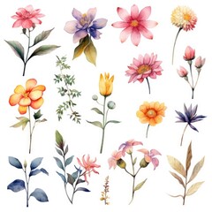 Watercolor flowers. Set Watercolor of multicolored colorful soft flowers. Flowers are isolated on a white background. Flowers pastel colors. generative ai