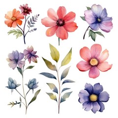 Watercolor flowers. Set Watercolor of multicolored colorful soft flowers. Flowers are isolated on a white background. Flowers pastel colors. generative ai