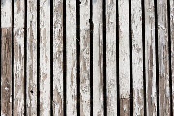 Weathered white wooden fence.