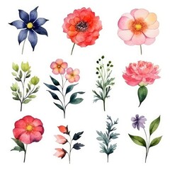 Watercolor flowers. Set Watercolor of multicolored colorful soft flowers. Flowers are isolated on a white background. Flowers pastel colors. generative ai