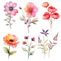 Watercolor flowers. Set Watercolor of multicolored colorful soft flowers. Flowers are isolated on a white background. Flowers pastel colors. generative ai